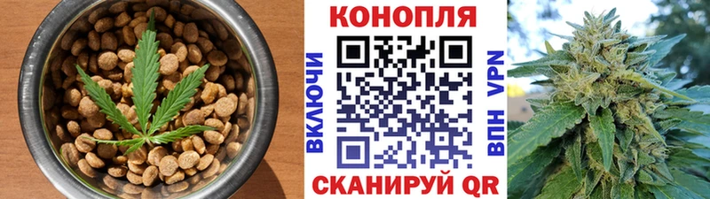 что такое   Новомичуринск  Canna-Cookies конопля 